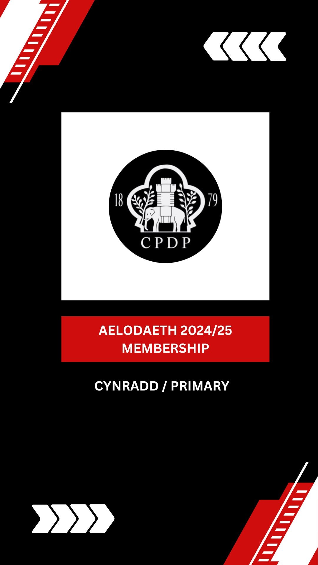 Aelodaeth Ieuenctid Cynradd (Bechgyn) / Primary Pupil Membership (Boys)