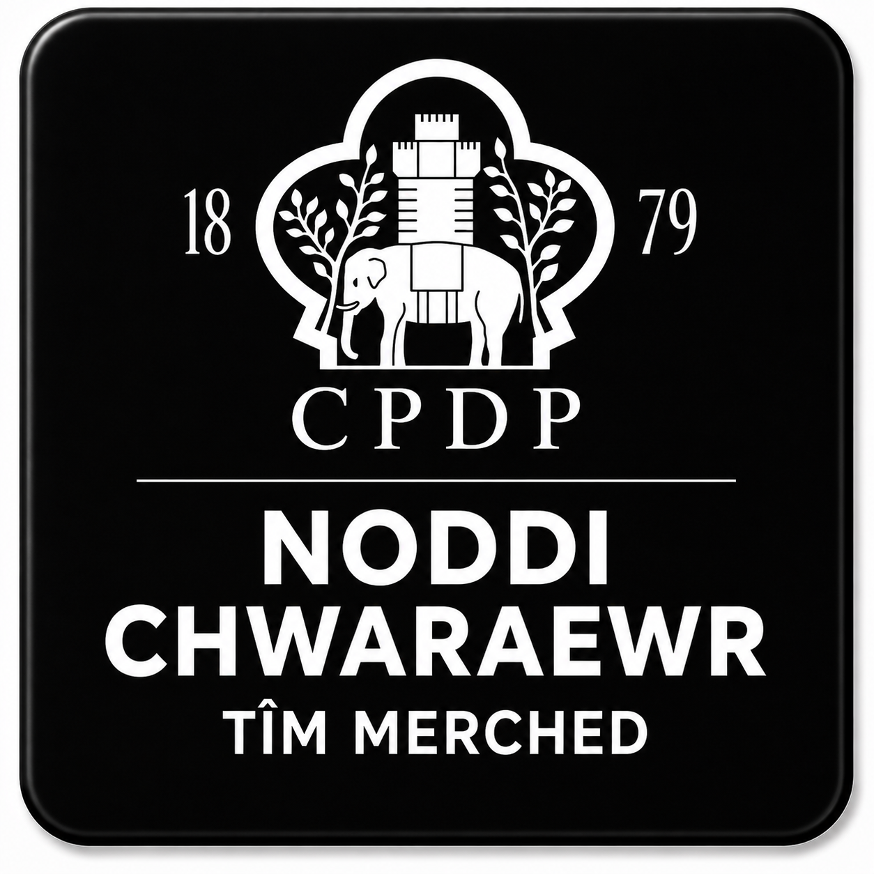 Noddi Chwaraewr Tim Cyntaf y Merched Womens First Team Player Sponsor