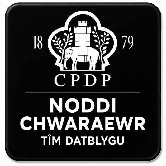 Noddi Chwaraewr Tim Datblygu Development Team Player Sponsor