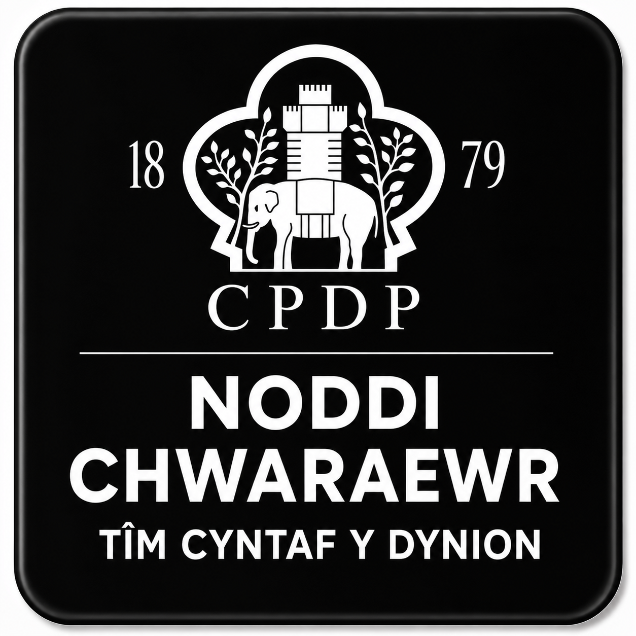 Noddi Chwaraewr Tim Cyntaf Sponsor First Team Player